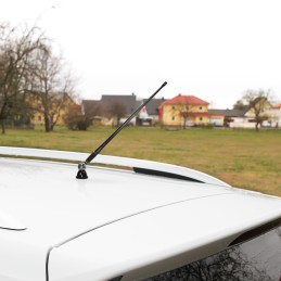 Antena auto exterior universala lungime 40 cm cablu 1.4m