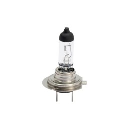 Bec halogen H7 12V 55W premium