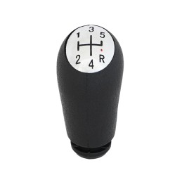 NUCA SCHIMBATOR PENTRU DACIA LOGAN 1/ LOGAN 2 5 TREPTE