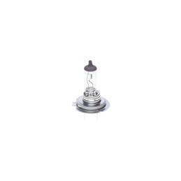 SET 2 BECURI 12V H7 55W PURE LIGHT BOSCH