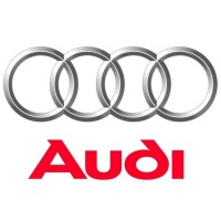 Ornamente oglinzi Audi