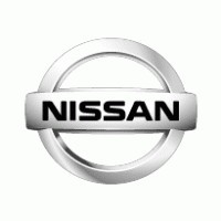 Ornamente oglinzi Nissan