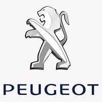 Perdelute Peugeot
